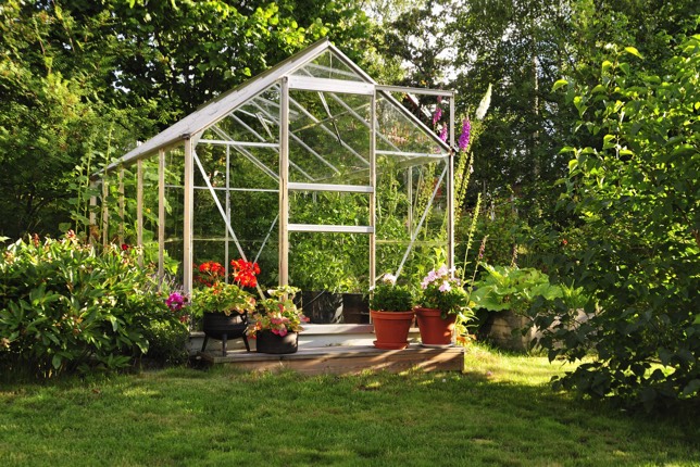 Greenhouse glass button retina